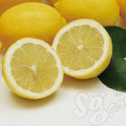 Ascorbic Acid (Vitamin C)