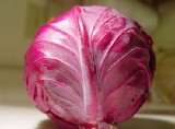  Red   Cabbage   Pigment 