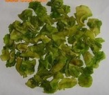 Dehydrated Lettuce