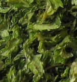 Dehydrated Parsley Cubes