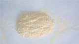 Dehydrated Garlic Powder/Granular