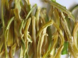 Bamboo  Shoot  Stick s