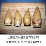Winter Bamboo Shoot