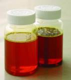 Soy Lecithin