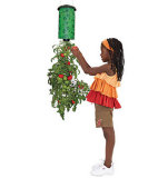 Topsy Turvy tomato planter (QL