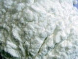 Dextrose Monohydrate