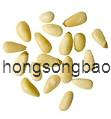 Pine Nut Kernels 006