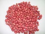 Red Skin Peanut Kernel (XLF001)