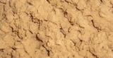 Soybean Lecithin