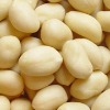 Blanched Peanut Kernels (41/51, 51/61, 61/71)