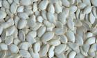 Snow White Pumpkin Seed