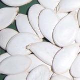 Snow White Pumpkin Seed (11cm 13cm)