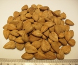 Organic   Apricot   Kernels  Sweet Shelled