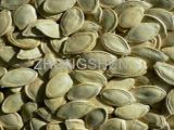 Shine Skin Pumpkin Seed