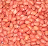Red Skin Peanut Kernels
