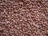 Peanut Kernel 45/55