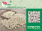 Blanched Peanut Kernels