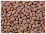 Peanuts Kernels (QDABL