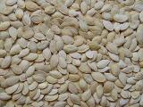 Shine Skin Pumpkin Seed