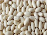 Blanched Peanut Kernels