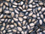 Black Watermelon Seeds