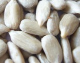 Sunflower Kernel