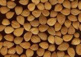 Organic Apricot Kernels Bitter Shelled