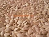 Snow White Pumpkin Seeds