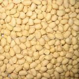 Blanched Peanuts In Shell (Round)