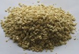 Watermelon Seed Kernel