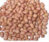 Peanuts Kernels Hsuji Type