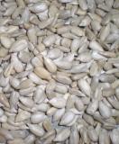 Sunflower Kernel Bakery