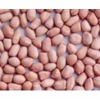 Peanut Kernels (24/28/32)