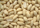 Blanched Peanut Kernels
