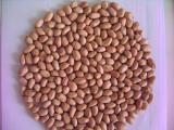 Peanut Kernels (Round)