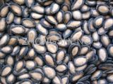 Black Watermelon Seed