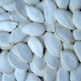 Snow White Pumpkin Seed (3)