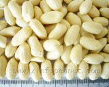 Long Type Blanched Peanut Kernels