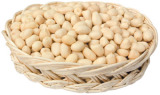 Blanched Peanut (25/29 29/33 35/39, 36/41 41/51 51/61)