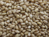Pine Nut Kernels (950CT)
