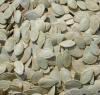 Shine Skin Pumpkin Seeds