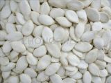White Pumpkin Seeds