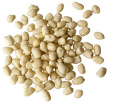 Chinese Blanched Peanut Kernels (Round Type)