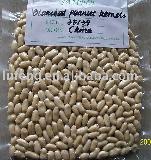 Blanched Peanut Kernel