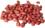 Redskin Peanuts(Round Type)