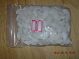 Pumpkin Seed (KD