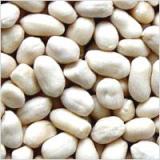 Blanched Peanut (36/41)