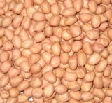 Peanut Kernels (Round)