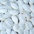 Snow White Pumpkin Seeds