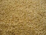 Water Melen Seeds Kernels